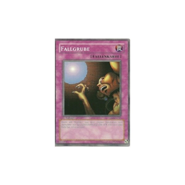 Fallgrube SYE-DE041