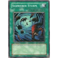 Schwerer Sturm YSDS-DE024