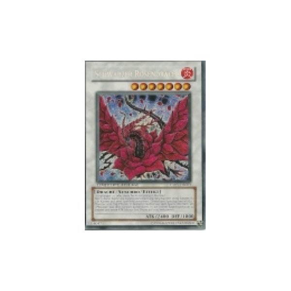 Schwarzer Rosendrache CT05-DE003