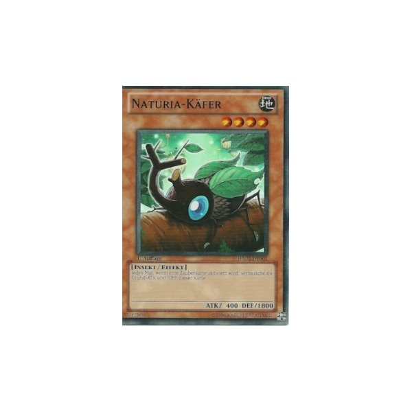 Naturia-K&auml;fer HA02-DE001