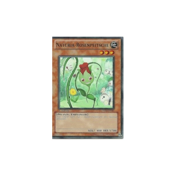 Naturia-Rosenpeitsche HA02-DE041