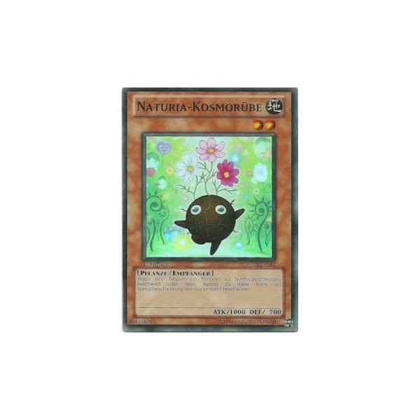 Naturia-Kosmor&uuml;be HA02-DE042