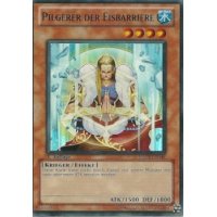 Pilgerer der Eisbarriere HA02-DE046