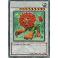 Naturia-Löwendrachling HA02-DE058