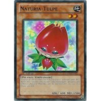 Naturia-Tulpe HA03-DE013