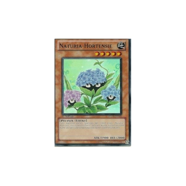 Naturia-Hortensie HA03-DE044