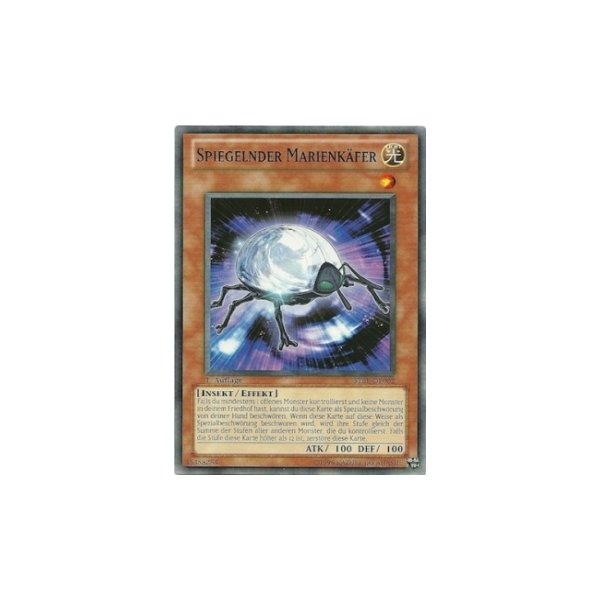 Spiegelnder Marienk&auml;fer STBL-DE002