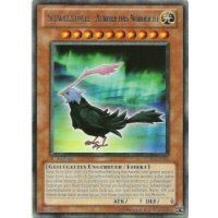 Schwarzflügel - Aurora das Nordlicht STBL-DE016