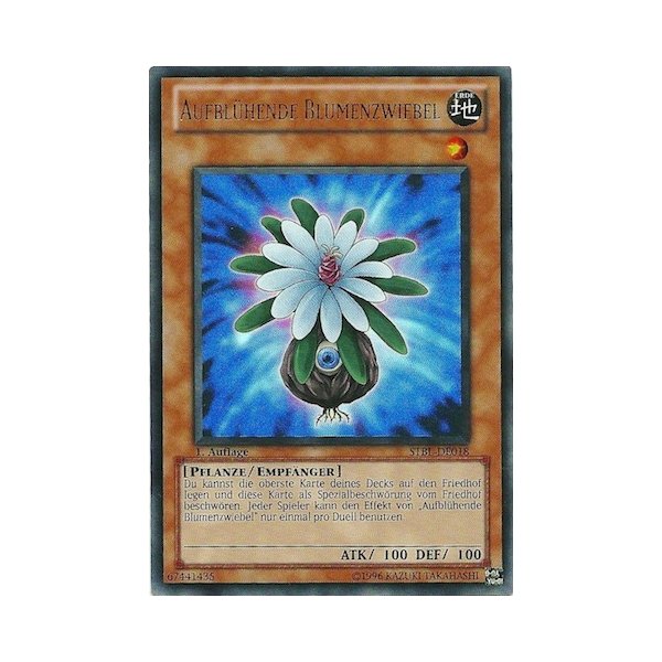 Aufbl&uuml;hende Blumenzwiebel (Ultra Rare) STBL-DE018