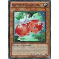 Naturia-Kirschen STBL-DE030