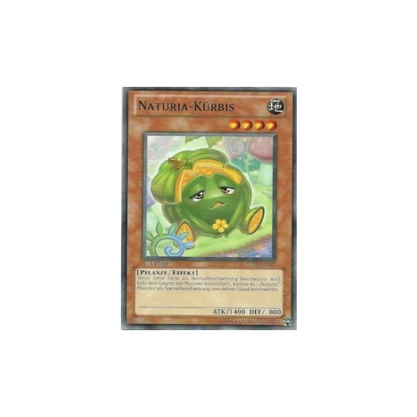 Naturia-K&uuml;rbis STBL-DE031