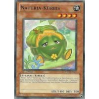 Naturia-Kürbis STBL-DE031