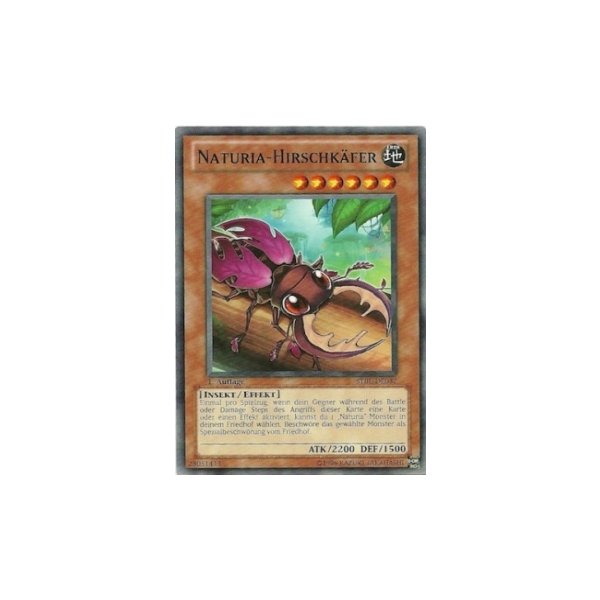 Naturia-Hirschk&auml;fer STBL-DE032