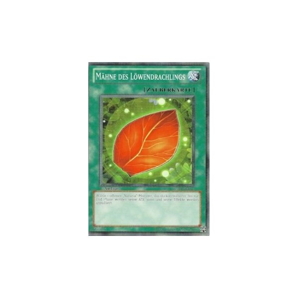 M&auml;hne des L&ouml;wendrachlings STBL-DE053