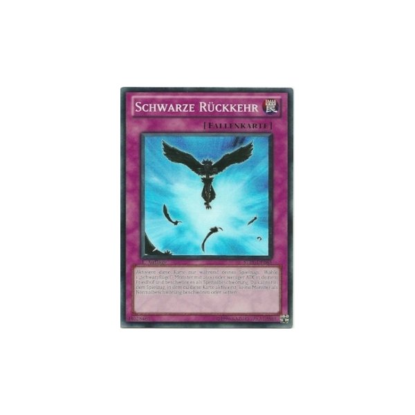 Schwarze R&uuml;ckkehr STBL-DE065