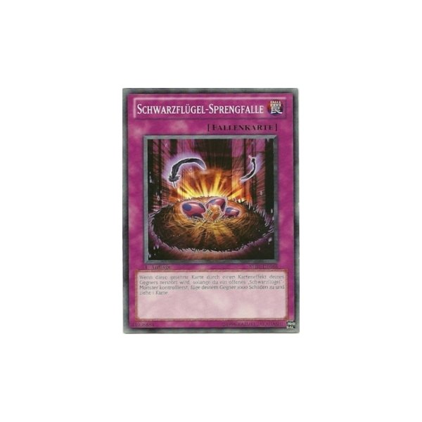 Schwarzfl&uuml;gel-Sprengfalle STBL-DE068