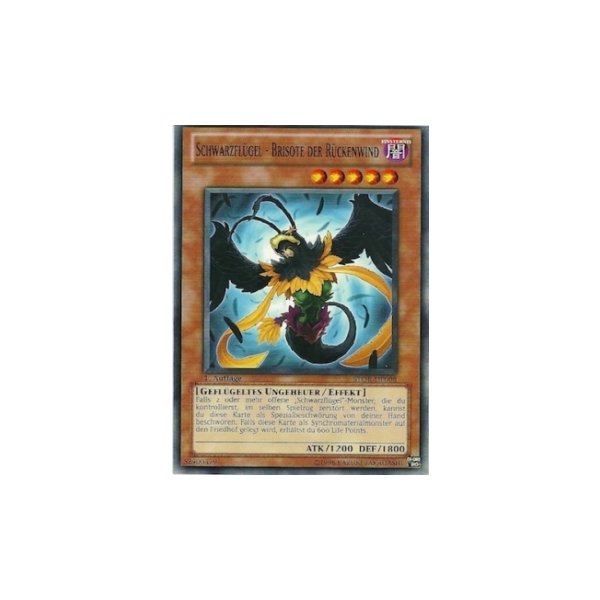 Schwarzfl&uuml;gel - Brisote der R&uuml;ckenwind STOR-DE008