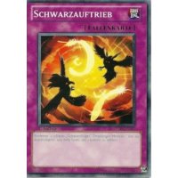 Schwarzauftrieb STOR-DE065