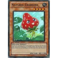 Naturia-Erdbeere HA04-DE021