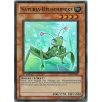 Naturia-Heuschrecke HA04-DE049