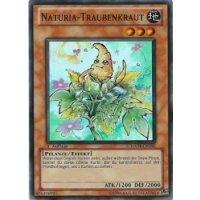 Naturia-Traubenkraut HA04-DE050