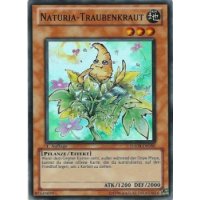 Naturia-Traubenkraut HA04-DE050