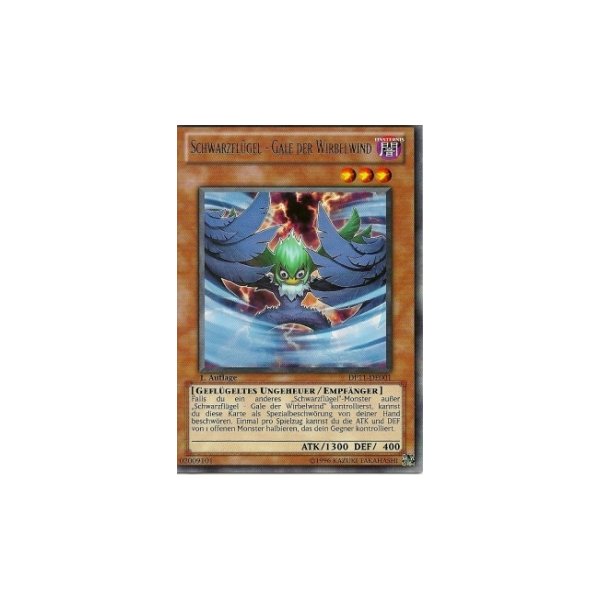 Schwarzfl&uuml;gel - Gale der Wirbelwind DP11-DE001