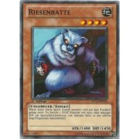Riesenratte YS11-DE012