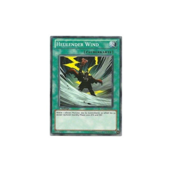 Heulender Wind YS11-DE021