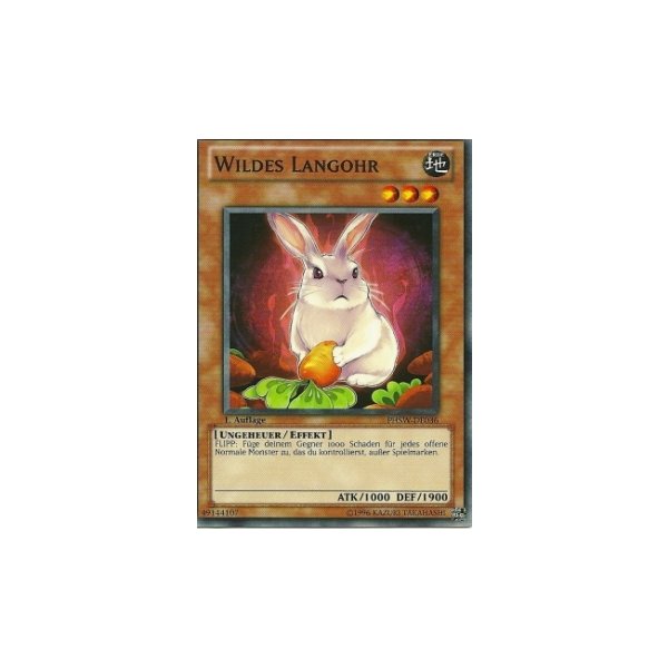 Wildes Langohr PHSW-DE036