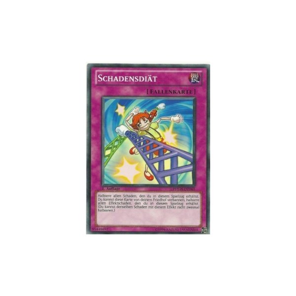 Schadensdi&auml;t PHSW-DE065