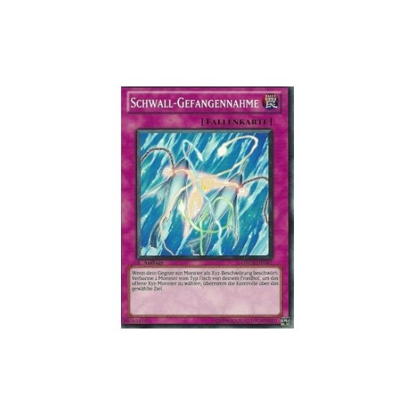 Schwall-Gefangennahme ORCS-DE067