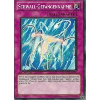 Schwall-Gefangennahme ORCS-DE067