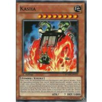 Kasha RYMP-DE075