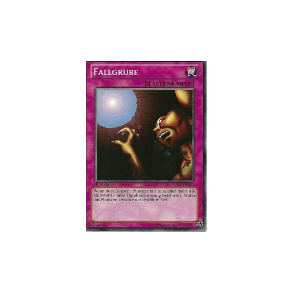 Fallgrube YS12-DE032