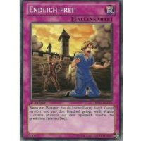 Endlich Frei! STARFOIL BP01-DE110