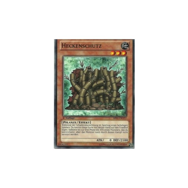 Heckenschutz STARFOIL BP01-DE157