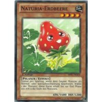 Naturia-Erdbeere STARFOIL BP01-DE210