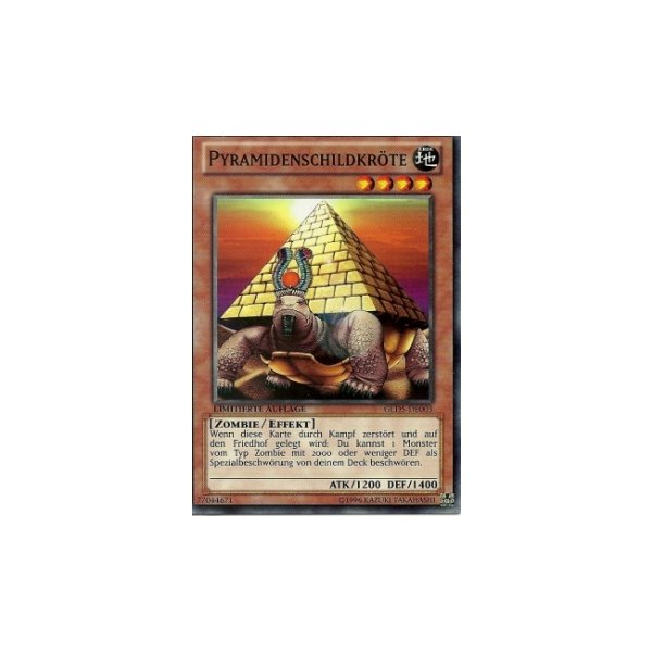 Pyramidenschildkr&ouml;te GLD5-DE003