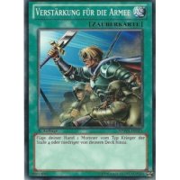 Verst&auml;rkung f&uuml;r die Armee SDWA-DE025