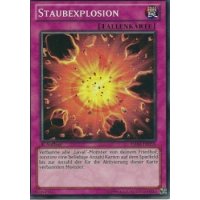 Staubexplosion HA06-DE058