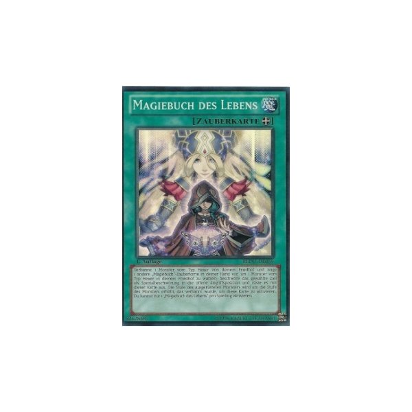 Magiebuch des Lebens REDU-DE059
