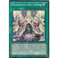 Magiebuch des Lebens REDU-DE059