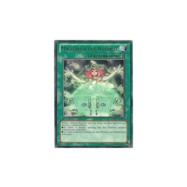 Magiebuch der Weisheit REDU-DE060