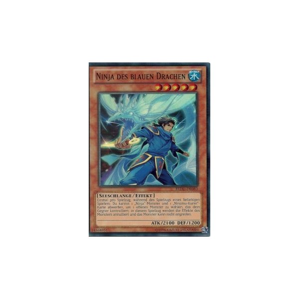 Ninja des blauen Drachen REDU-DE083