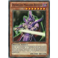 Dunkler Magier-Ritter LCYW-DE028