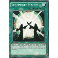 Vereinigte Magier LCYW-DE077