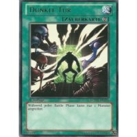 Dunkle T&uuml;r LCYW-DE126