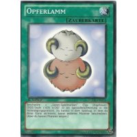 Opferlamm LCYW-DE274