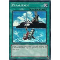 Reparieren LCYW-DE276